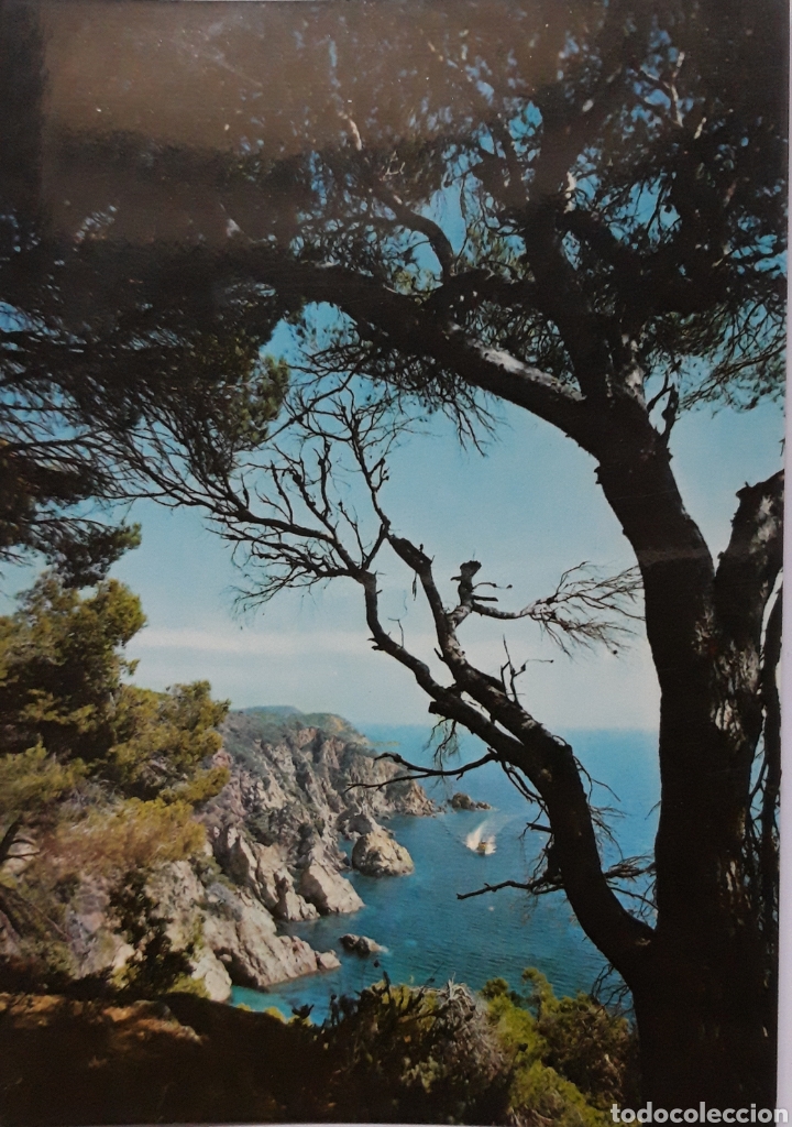 Postales: POSTAL DE LLORET DE MAR GIRONA - Foto 1