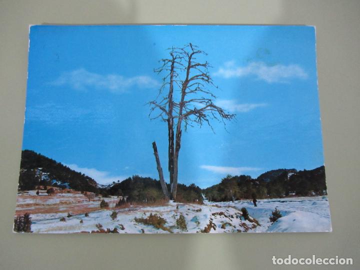 Postales: Berga - P&iacute; de les Tres Branques - Circulada - Foto 1
