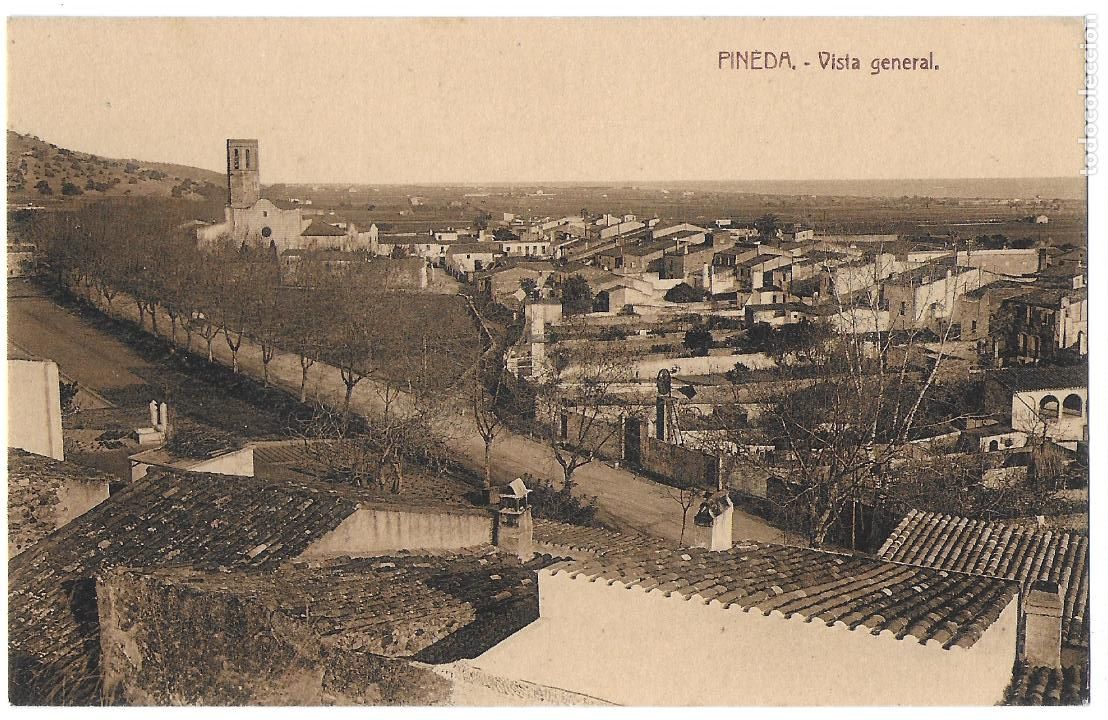 Postales: P-9659. POSTAL PINEDA, VISTA GENERAL. - Foto 1