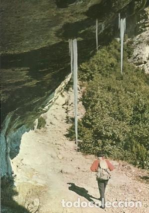Cartes Postales: POSTAL A COLOR CAMINO DE SAU A TAVERTET LEE GOTES