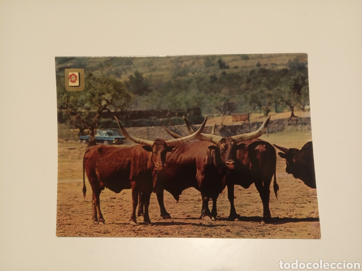Postales: Rio Le&oacute;n - Foto 1