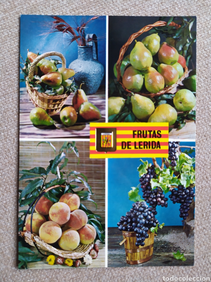 Postales: 6 postales de Frutas de L&eacute;rida. Sin circular - Foto 2