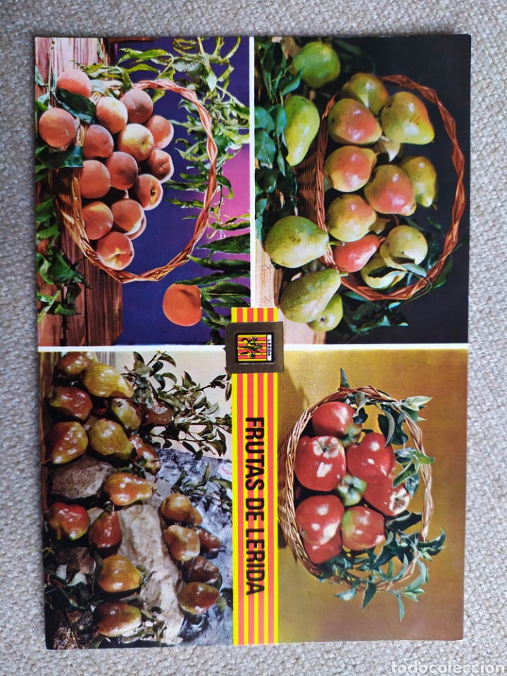 Postales: 6 postales de Frutas de L&eacute;rida. Sin circular - Foto 4