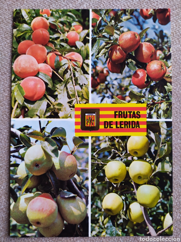 Postales: 6 postales de Frutas de L&eacute;rida. Sin circular - Foto 5