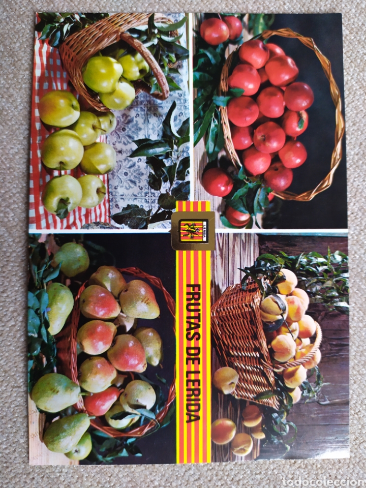 Postales: 6 postales de Frutas de L&eacute;rida. Sin circular - Foto 6