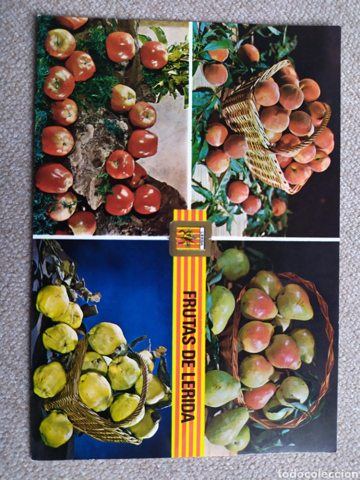 Postales: 6 postales de Frutas de L&eacute;rida. Sin circular - Foto 7