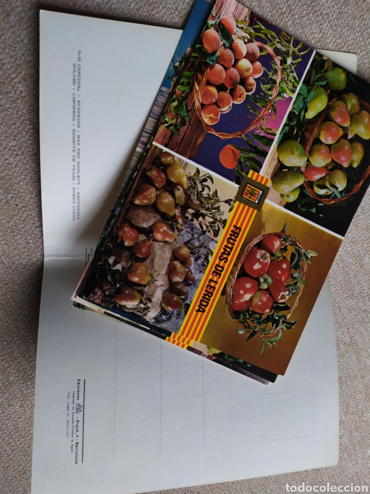 Postales: 6 postales de Frutas de L&eacute;rida. Sin circular - Foto 8
