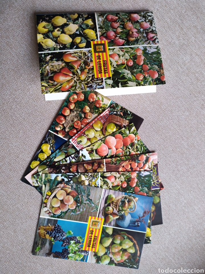 Postales: 6 postales de Frutas de L&eacute;rida. Sin circular - Foto 1