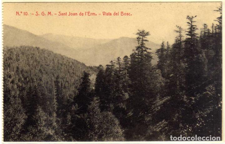 Postales: POSTAL SANT JOAN DE L&acute;ERM (LERIDA) - VISTA DEL BOSC