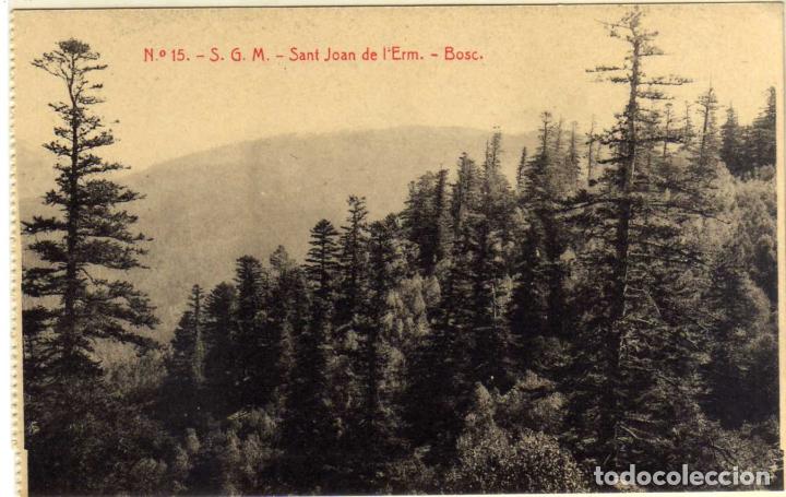 Postales: POSTAL SANT JOAN DE L&acute;ERM (LERIDA) - BOSC