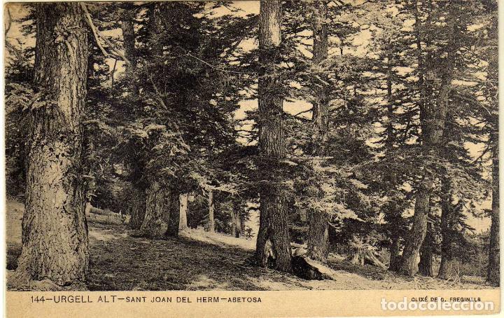 Postales: POSTAL URGELL ALT (LERIDA) - SANT JOAN DEL HERM - ABETOSA