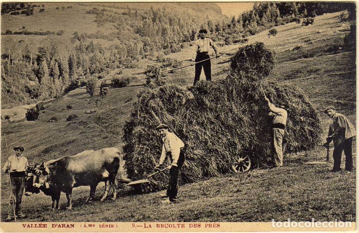 Postkarten: PRECIOSA POSTAL - VALLEE D&acute;ARAN (LERIDA) - LA RECOLTE DES PRES