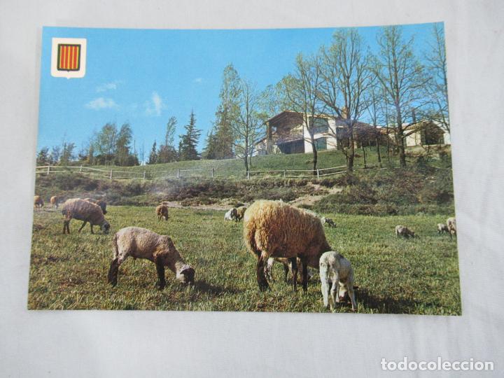 Postales: Vidra - Paisatge t&iacute;pic - S/C - Foto 1