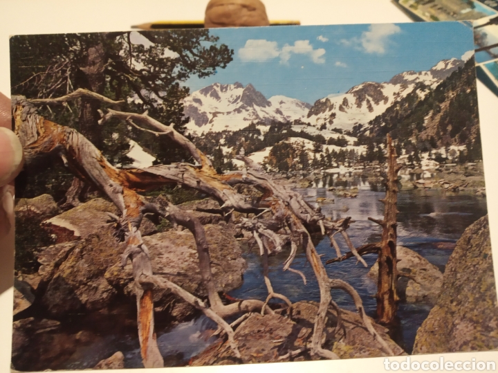 Postales: Vall de espot