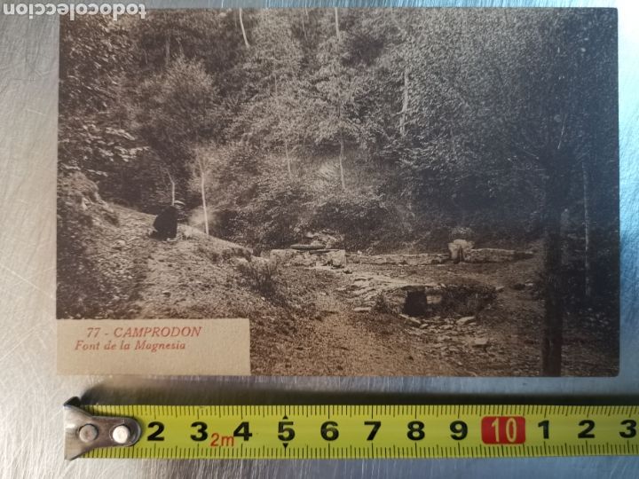 Cartoline: Postal de Camprodon de la Font de la magnesia n&ordm;77