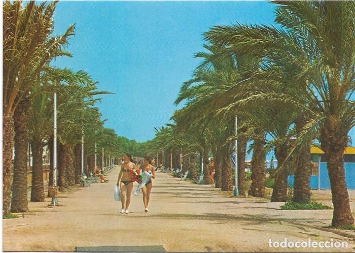 Postales: :::: PV456 - POSTAL - CALELLA DE MAR - PASEO - Foto 1
