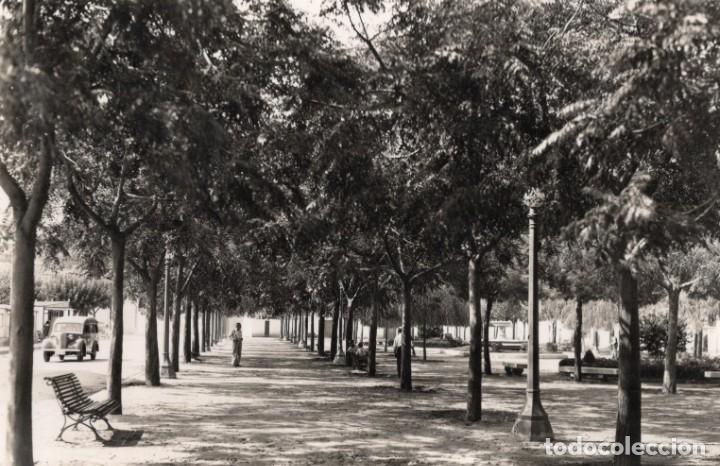 Postales: pineda. paseo de las melias. e.m. - Foto 1