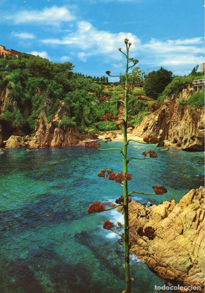 Postales: Blanes Cala Forcanera y otra - Foto 2
