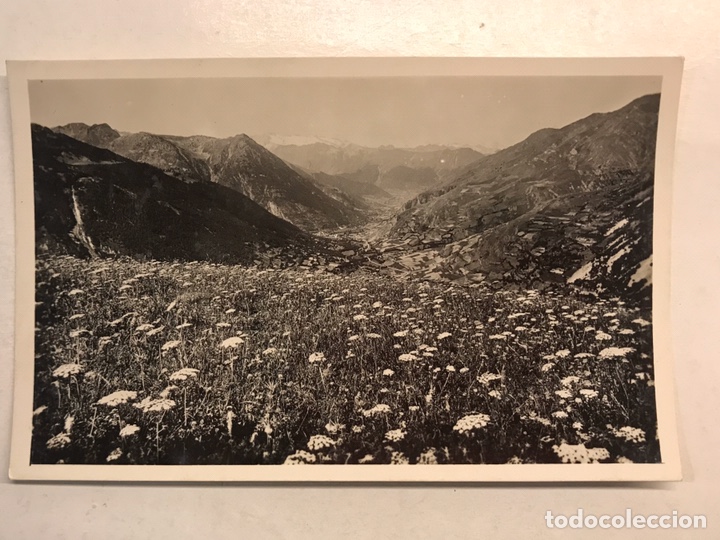 Postales: VALLE DE ARAN (Lerida) Postal PUYOLO desde el CLOT DEL SOLA. Edita : Zerkowitz (h.1950?)
