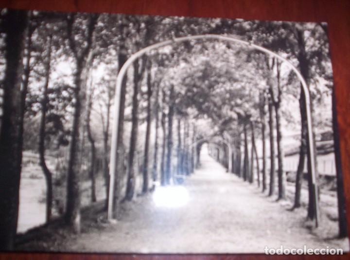 Postales: CAMPRODON - PASEO DE LA FONT NOVA - Foto 1