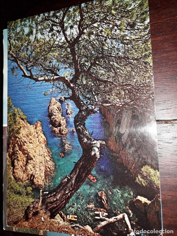 Postales: N&ordm; 37162 POSTAL COSTA BRAVA CALA GERONA