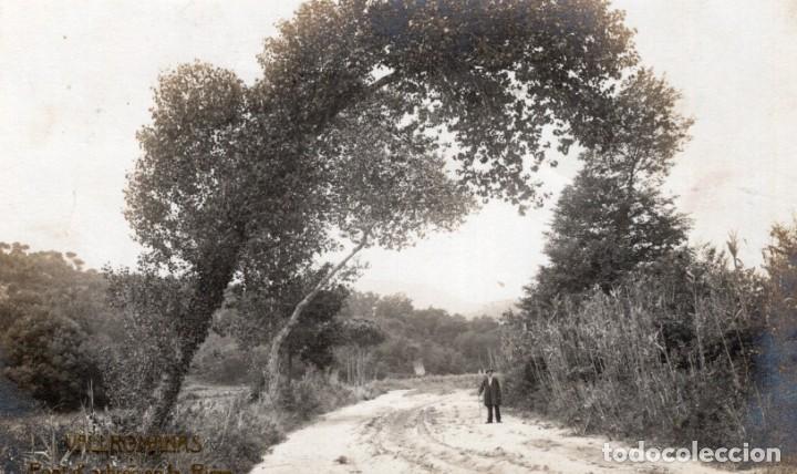 Postales: vallromanas. arbres en la riera - Foto 1