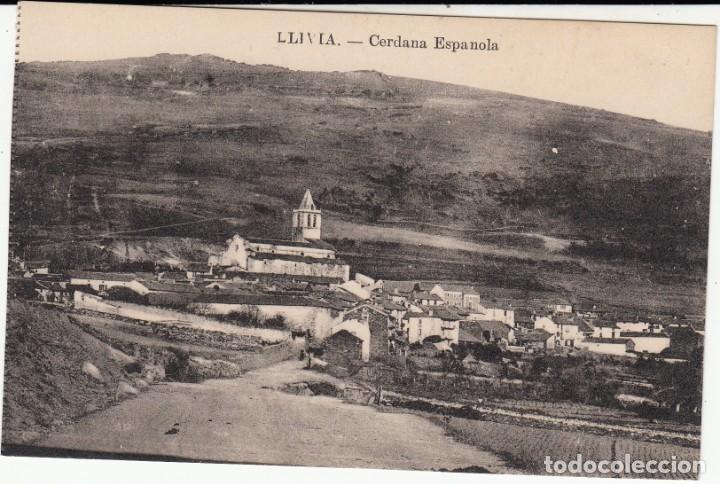 Postales: POSTAL LLIVIA - CERDA&Ntilde;A ESPA&Ntilde;OLA
