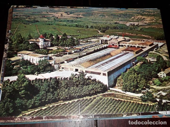 Postales: N&ordm; 37278 POSTAL CAVAS CODORNIU - Foto 1