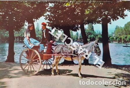 Postales: ANTIG&Uuml;A POSTAL DE PUIGCERDA - LAGO  -  CIRCULADA A&Ntilde;O 1964