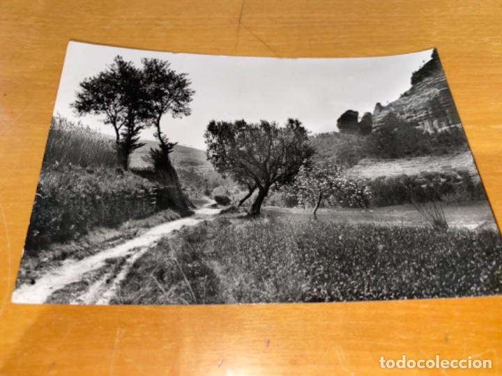 Postales: ANTIGUA POSTAL SAN MIGUEL DEL FAY 2 DETALLE