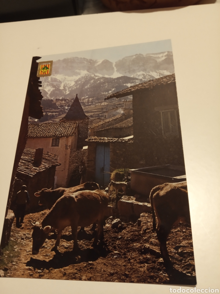 Postales: Quer Foradad - Foto 1