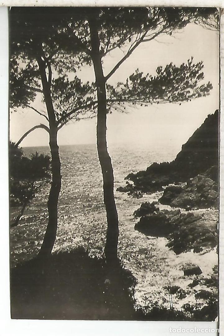 Postales: GERONA LLORET DE MAR ESCRITA - Foto 1