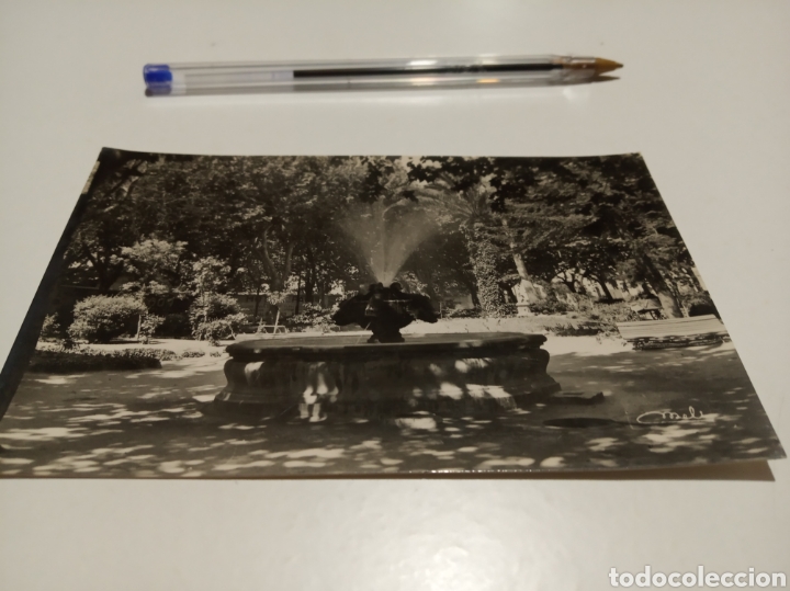 Postales: Figueras parque de la estaci&oacute;n - Foto 1