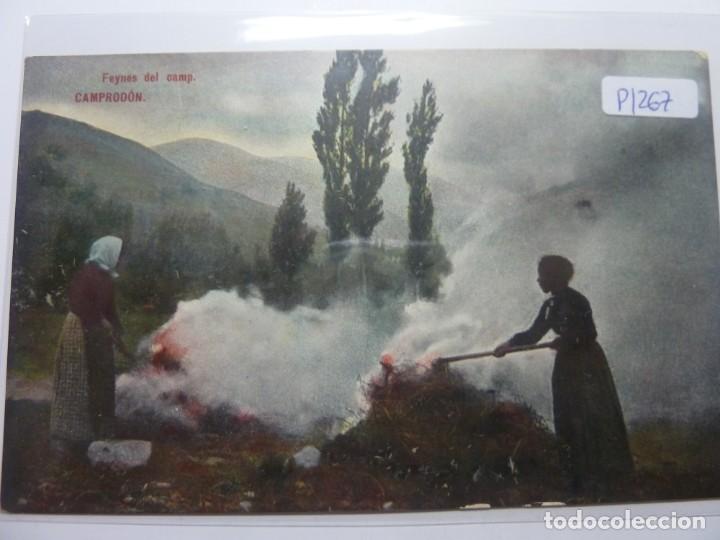 Postales: CAMPRODON. FEYNES DEL CAMP - Foto 1