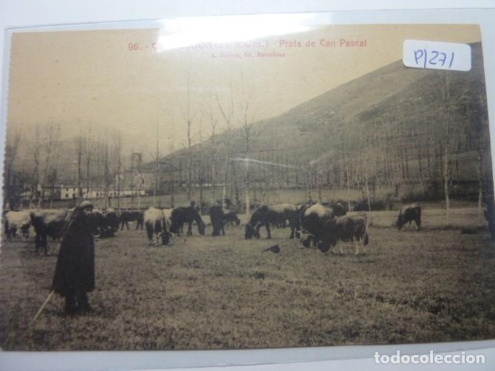 Postales: CAMPRODON. 96 PRATS DE CAN PASCAL - Foto 1