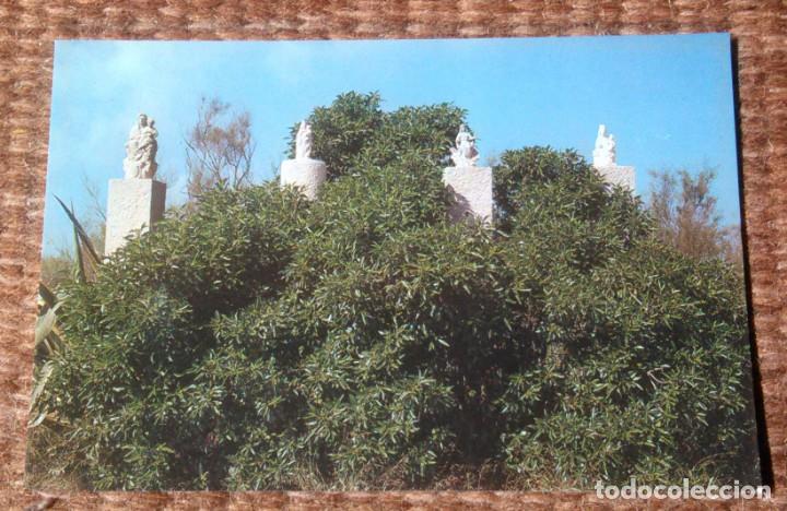 Postales: DELTA DEL EBRO - TARRAGONA - MARES DE DEU - Foto 1
