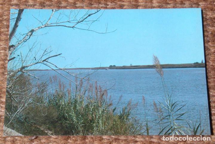 Postales: DELTA DEL EBRO - TARRAGONA - Foto 1