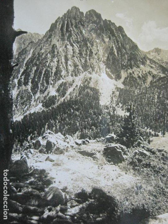 Postales: ESPOT-ENCANTATS-ZERKOWITZ-POSTAL FOTOGRAFICA ANTIGUA-(70.053)