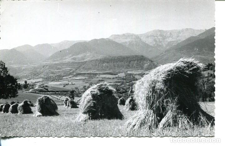 Postales: PRULLANS-L&Eacute;RIDA-FOTOGR&Aacute;FICA-VISTA PANOR&Aacute;MICA -SIEGA DEL TRIGO- MUY RARA