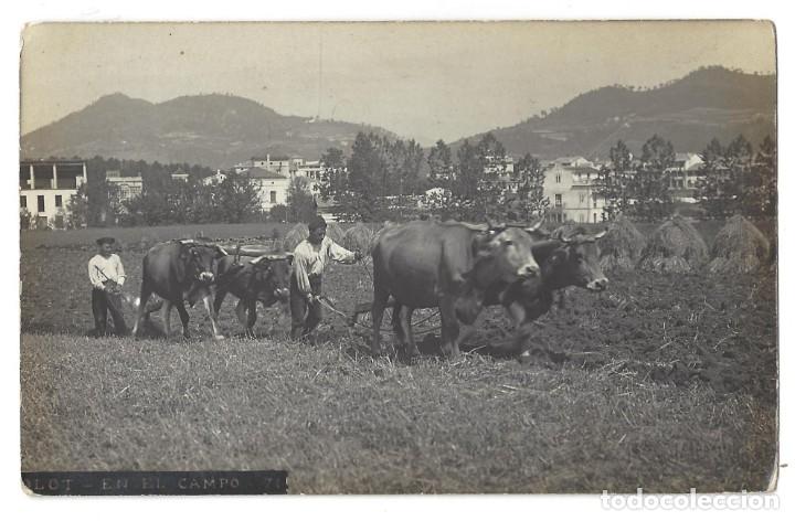 Postales: POSTAL FOTOGR&Aacute;FICA- OLOT.- EN EL CAMPO 71. ANIMADA. PAJAR. CAMPESINOS. GERONA- SIN CIRCULAR