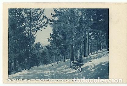 Postais: ANTIGUA POSTAL VALL DE LA MOLINA 6 CAMI DEL BOSC QUE PORTA A LES PISTES CL R CARBONELL