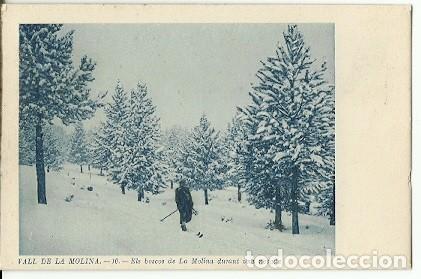 Postais: ANTIGUA POSTAL VALL DE LA MOLINA 10 EL BOSC DE LA MOLINA DURANT UNA NEVADA CL R CARBONELL