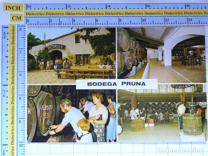 Postales: POSTAL DE GERONA. BODEGA PRUNA. 2 - Foto 1