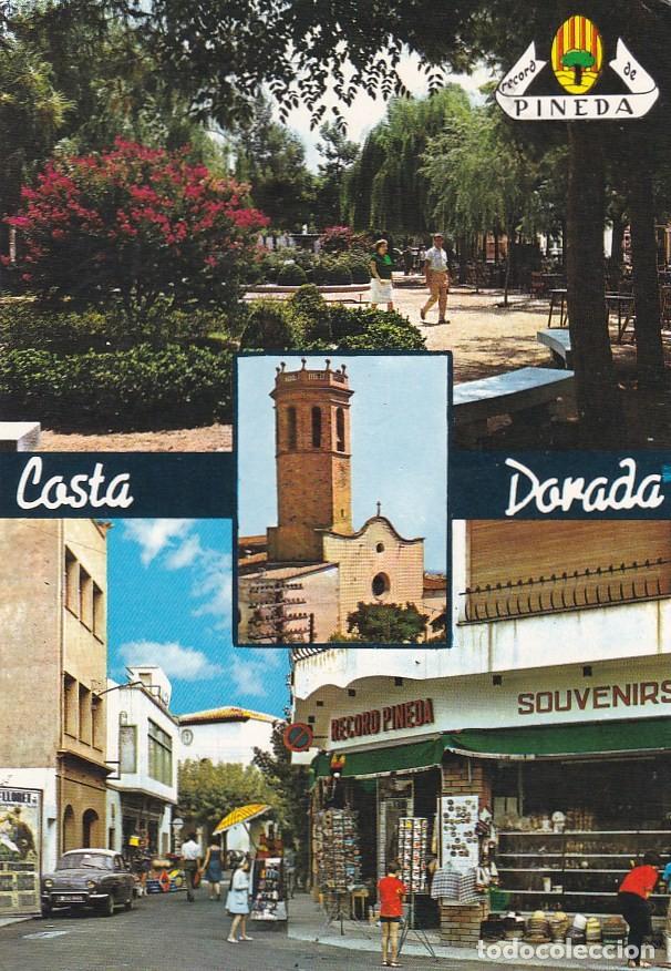 Postales: PINEDA DE MAR - COSTA DORADA - Foto 1