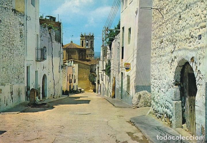 Postales: ALCANAR - CALLE TIPICA - Foto 1