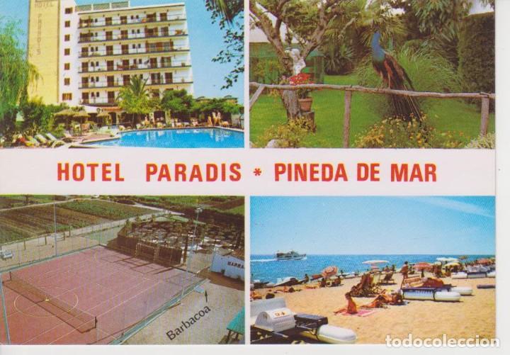 Postales: PINEDA DE MAR . HOTEL PARADIS - Foto 1