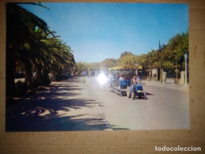 Postales: Salou-Paseo de las Palmeras.