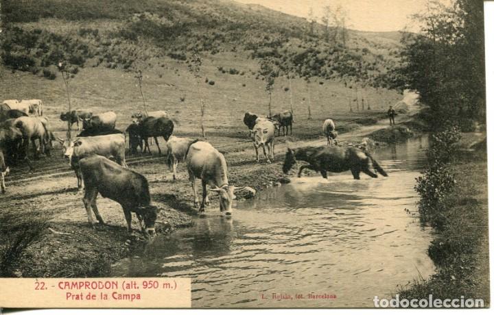 Postais: CAMPRODON.PRAT DE LA CAMPA-GANADO Y PASTOR-ROISIN N&ordm; 22
