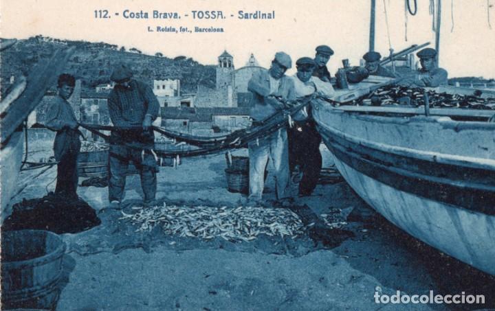 Postales: tossa. 112 sardinal. roisin - Foto 1