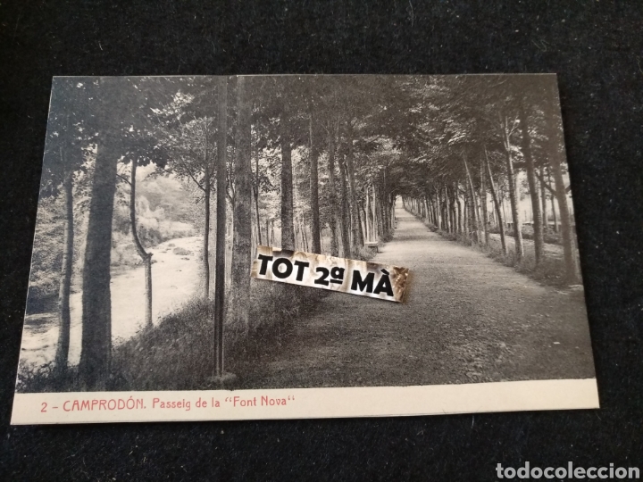 Postales: Camprodon, passeig font nova, thomas - Foto 1